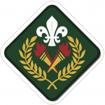 dragon scout award